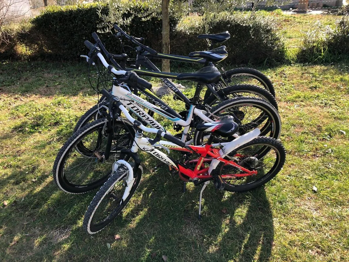 Apartment Madis & Free Bikes Pula